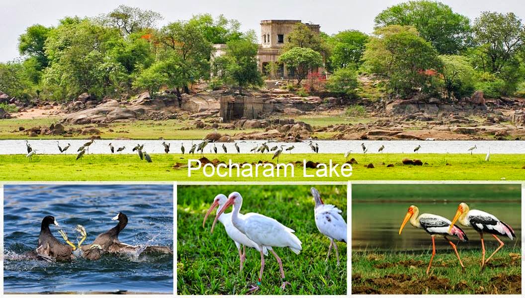 eco tourism telangana